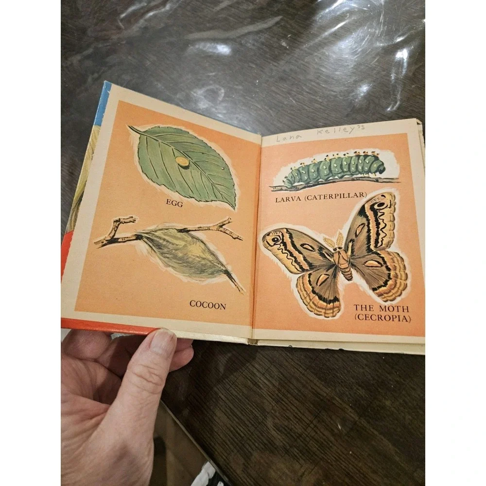 A Moth Is Born Rand McNally Elf‎ Book Vintage 1967